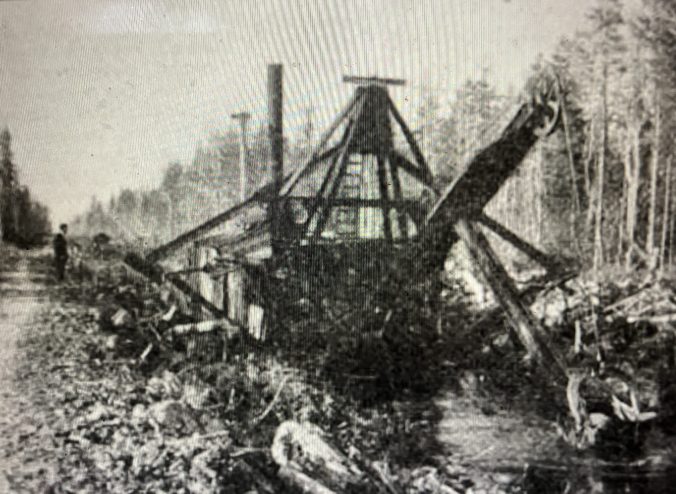 This is a somewhat later view of one of the Wilkinson brothers' dredges at work in the swamp forests near the Pungo River, ca. 1918. In an interview 20 years later, when he was almost 80, Samuel Wilkinson described the birth of Terra Ceia, a farming settlement built on the the remains of a swamp forest that he and his brother bought near their family's home in Wilkinson, 3 miles NW of Pantego. He told the interviewer, Muriel Wolff: “When I was a boy all that land over there wasn't anything but swamp. It was full of great big cypress and juniper trees timber that never had been cut. Well, back in 1905 I was working for the Roper Lumber Company, located over in Belhaven, and they started logging that swamp. To do that they had to dig ditches and drain off some of the water, but it still wasn’t fit for anything when me and my brother bought up 20,000 acres in 1911.... If you don’t believe we spent the money, I’ll tell you what we had to do. That was swamp land, remember, and ditches wouldn’t drain off all the water. There had to be 40 miles of canals besides the ditches. We paid $20,000 for a dredge to dig canals. It broke after the first seven miles. We bought another but it broke too before we finished. Then we had to put through a branch line of the railroad—11 miles of it at $1,000 a mile. Before we could lay a track we had to buy the right of way and buy $70,000 worth of Norfolk &amp; Southern stock. But we got the railroad through." Ms. Wolff's interview can be found in the Federal Writers' Project Papers at the Southern Historical Collection at UNC-Chapel Hill. Photo source: Cut-Over Lands vol. 1, #4 (July 1918).
