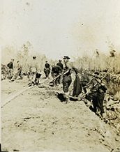 The mosquitoes of Hyde County are legendary, and one of the first newspaper reports that I found on the CCC camp at Bell Island focused on them. Appearing in the Elizabeth City Independent (23 July 1933), the article began, "Over on Bell Island 200 youthful members of the Civilian Conservation Corps are making war on mosquitoes." It goes on to say: "Under the direction of U.S. Army engineers and Capt. W. L. Birch, Federal Game Warden, the youngsters are building a road from Bell Island to Swan Quarter, much dredging is to be done, wells are being sunk, lodges and fishing camps being constructed. But it has mostly been a war on mosquitoes to date." Source: Anthony Troy Elliott Photograph Collection, State Archives of North Carolina