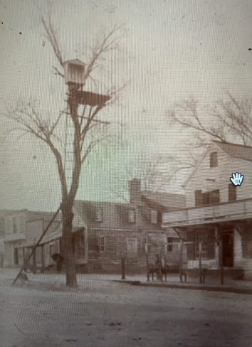 Edenton, N.C., ca. 1890-1920. This might be my favorite photograph of a US Lighthouse Service navigational aide on the N.C. coast. It's a rather jerry-rigged range light in a tree on what is apparently one of Edenton's downtown streets. A front range light is evidently somewhere out in Edenton Harbor. The two worked together: when aligned visually, one directly the other, range lights indicated the path of the channel on a river or other body of water-- in this case, on Edenton Harbor. To be seen properly, the back range light had to be at least somewhat elevated above the front light, which in this case was achieved with nature's help. Source: Records of the U.S. Coast Guard (RG 26), National Archives- College Park