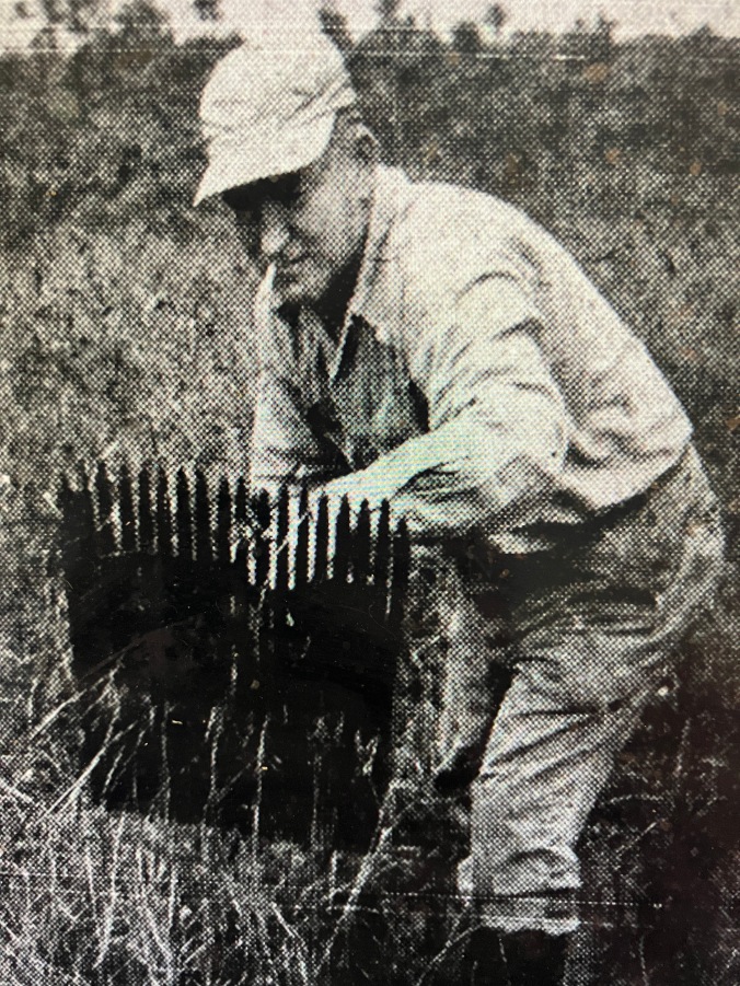 People in Mashoes lived off the land in many different ways. In this photograph, we can see Thomas Hunter Midgett harvesting wild cranberries in a bog between Mashoes and Manns Harbor. News & Observer, 25 Nov. 1951.