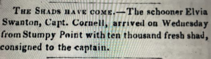 "THE SHAD HAVE COME." As early as the 1840s, newspapers as far away as Brooklyn, New York, advertised the arrival of fresh shad from Stumpy Point at their docks. Brooklyn Evening Star, 24 March 1848.