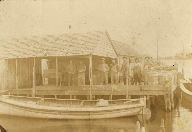 A shad boat rests in Mashoes Creek, with a group of fishermen standing on a dock that runs along the side of a fish house. The photo is undated. According to shad boat authority Earl Wynn (with whom I shared the photo), the boat's tuck indicates it was built as a power boat, not converted from sail, so that it was likely built in the 1910s or '20s, after the advent of gasoline motors. The photo, then, was taken in that period at the earliest. From the Randall Holmes Collection (AV-5255-144), Outer Banks History Center