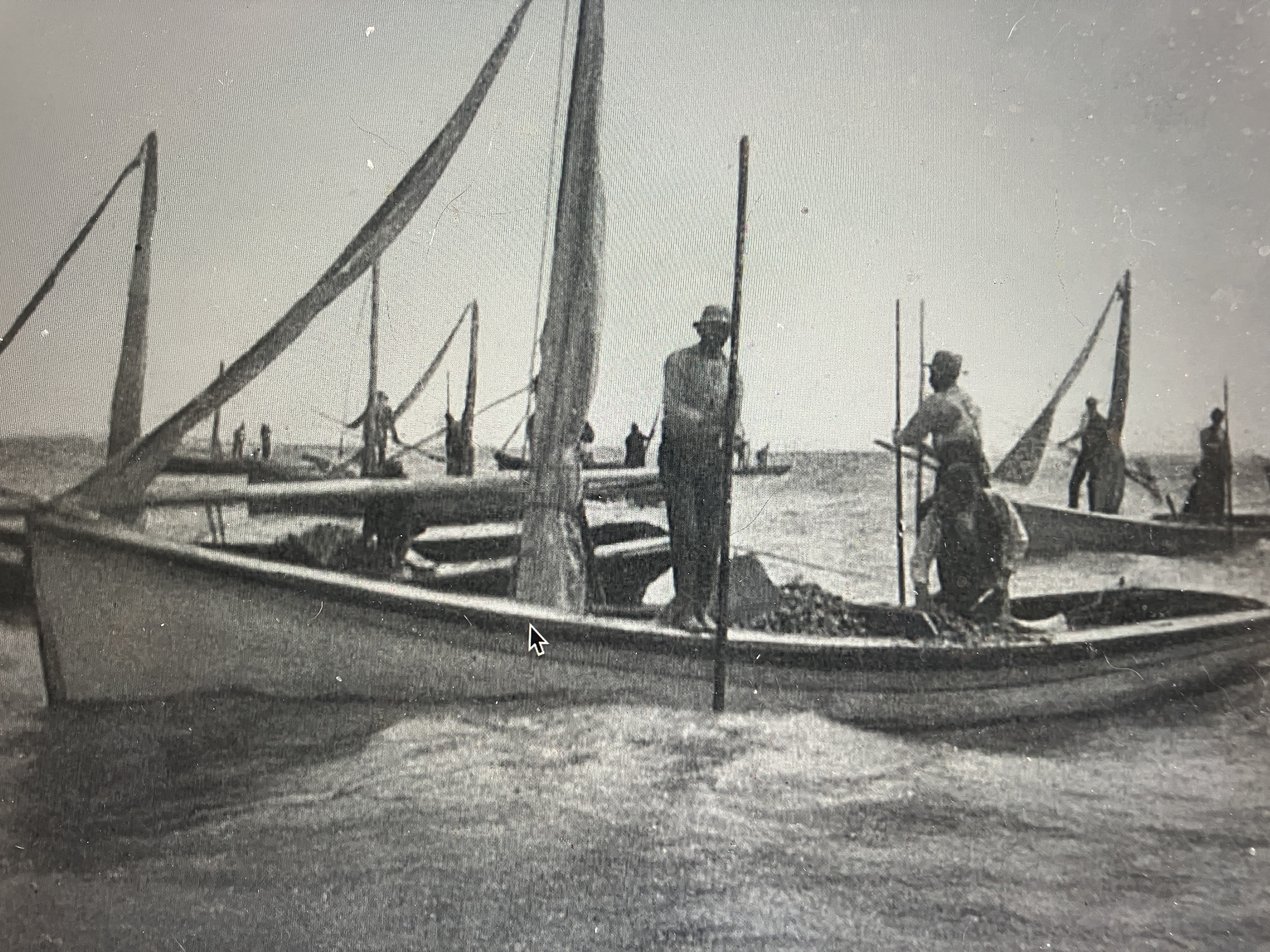 Tonging for oysters, probably on Pamlico Sound, ca. 1900. Caswell Graves, Investigations for the Promotion of the Oyster Industry in North Carolina (Washington DC: GPO, 1904)