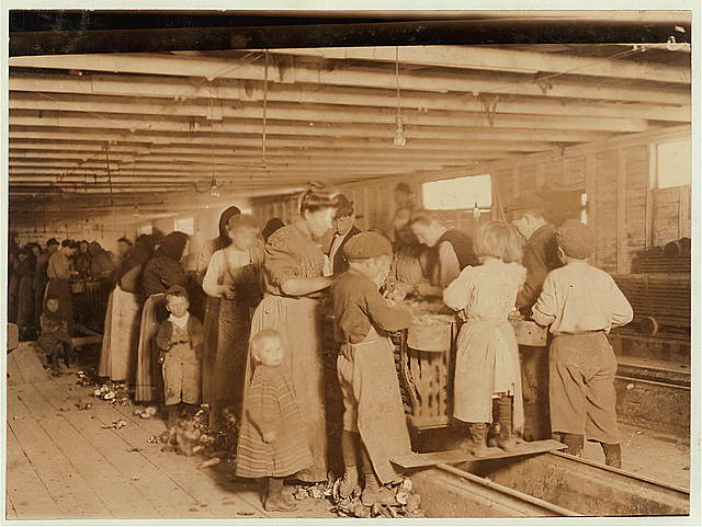 Oyster shuckers, including many young children, at the Dunbar, Lopez, Dukate Co.'s cannery in Dunbar, Louisiana, March 1911. Photo by Lewis Hine. Source: National Child Labor Committee Collection, Library of Congress, Prints and Photographs Division