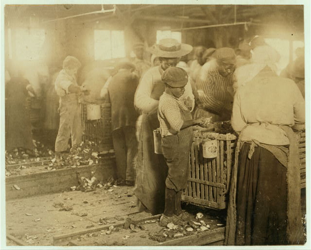 Oyster shuckers at the Barn & Platt Canning Co., Bluffton, S.C., Feb. 1913. Photo by Lewis Hine. Source: National Child Labor Committee Collection, Library of Congress, Prints and Manuscripts Division