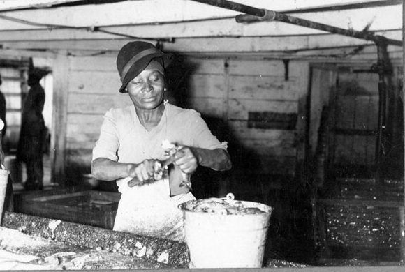 Heading and gutting herring by the Roanoke River, Plymouth, N.C., May 1939. Few African American or Indian women on that part of the North Carolina coast did not work at a herring fishery at some point in their lives. For many it was an annual rite. Paid piece rate, the fastest worked at blinding speeds, heading and gutting many tens of thousands of herring every week. Photo courtesy, State Archives of North Carolina