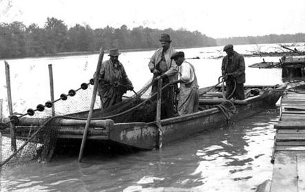 Piney Woods, also called Free Union, is located 5 or 6 miles southwest of Plymouth in Martin County. According to local tradition, the community's native heritage was primarily <a href="https://en.wikipedia.org/wiki/Tuscarora_people">Tuscarora</a>, but also included descendants of the <a href="https://www.nps.gov/articles/carolinaalgonquian.htm">Algonquin tribes</a> whose villages were still located on and around the Albemarle Sound prior to the <a href="https://en.wikipedia.org/wiki/Tuscarora_War">Tuscarora War of 1711-1713</a>. For more on the community's history, see the website for the <a href="https://pineywoodsnc.wordpress.com/background/">Piney Woods Project</a>, an ongoing, local effort to document the community's history and genealogy. Photo courtesy, State Archives of North Carolina