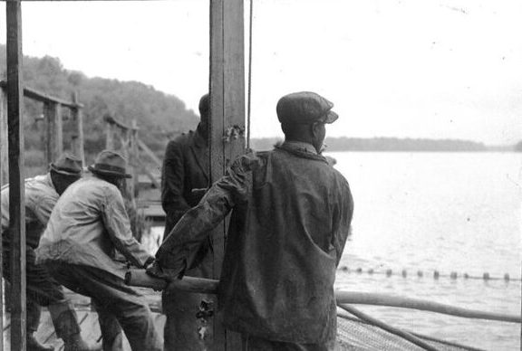 Forty years ago, one of Piney Woods/Free Union's community elders, Vera Brown, told me how the community had historically been a refuge for dissidents, fugitive slaves, and others who defied oppression and injustice.  For more on Piney Woods/Free Union's history, I also recommend a well-researched article that appeared in the <a href="https://issuu.com/apa1906network/docs/197005601">Spring 1970 issue of Alpha Phi Alpha's journal <em>The Sphinx</em></a>. That article focuses especially on the history of what is now called the <a href="https://uniontownchurchofchrist.com/About-Us">Union Town Church of Christ (Disciples of Christ</a>), one of the oldest churches in Martin County and a mainstay in the Piney Woods/Free Union community since at least the 1830s. Photo courtesy, State Archives of North Carolina