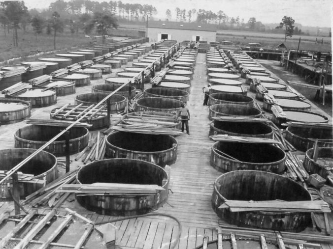 Courtesy, State Archives of North Carolina