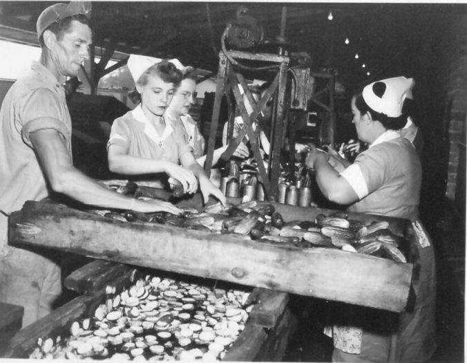 Courtesy, State Archives of North Carolina