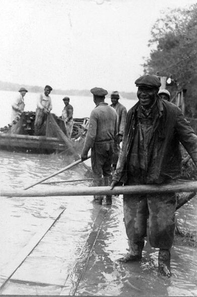 Few people familiar with Piney Woods/Free Union's history would be surprised that it is also the ancestral home of the Rev. <a href="https://en.wikipedia.org/wiki/William_Barber_II">William J. Barber II,</a> one of the most important voices for the poor and oppressed in the U.S. today. A Protestant clergyman and social activist, the Rev. Barber spearheaded the <a href="https://en.wikipedia.org/wiki/Moral_Mondays">"Moral Monday"</a> protests in Raleigh in 2013. Currently he leads <a href="https://breachrepairers.org">Repairers of the Breach</a> and co-chairs the <a href="https://www.poorpeoplescampaign.org">Poor People's Campaign: A National Call for a Moral Revival</a>. Rev. Barber's father, the Rev. William J. Barber I, was the author of <a href="https://catalog.lib.unc.edu/catalog/UNCb5166623"><em>A History of the Disciple Assemblies of Eastern North Carolina</em> </a>(1965), the best written source that I have seen on the historical roots of Piney Woods/Free Union. For a more recent look at community activism in that part of Martin County, see Justin Cook's <a href="https://themargin.us/features/rebuilding-the-homestead">"Rebuilding the Homestead: How Black Landowners in Eastern North Carolina are Recovering Generational Wealth Lost to Industry Encroachment." </a>The article appeared in <a href="https://themargin.us/features/rebuilding-the-homestead"><em>The</em> <em>Margin</em></a>, an independent media project that focuses on environmental justice issues. Photo courtesy, State Archives of North Carolina