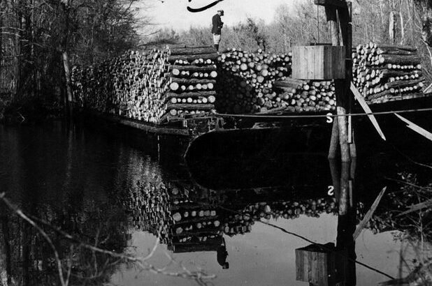 A lumber barge on the Lockwood's Folly River in Brunswick County, N.C., March 1943. Photo courtesy, State Archives of North Carolina