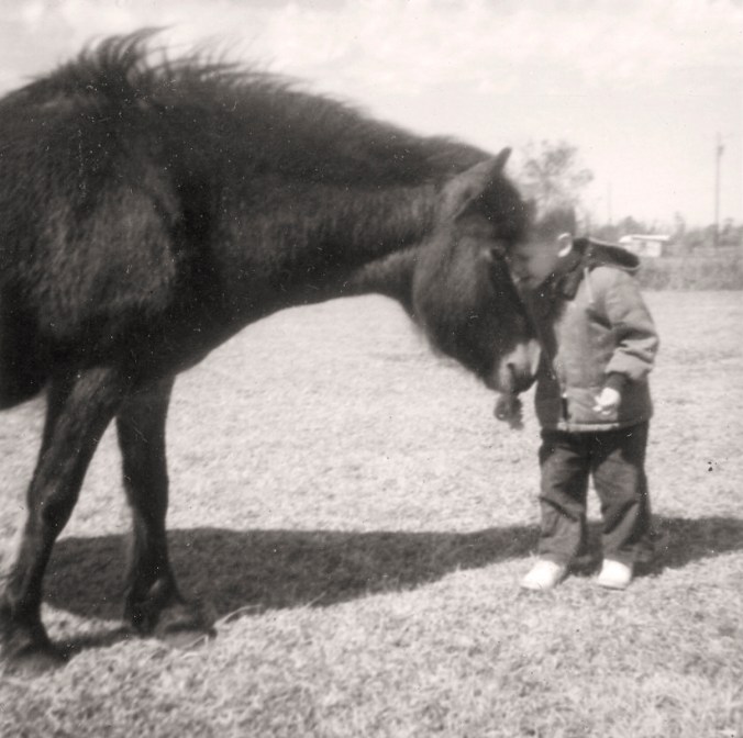 This is me and our pony Bay at my family's homeplace in Harlowe, N.C., probably 1963 or '64. Bay was one of several Banks ponies that my mother's family had over the years. 