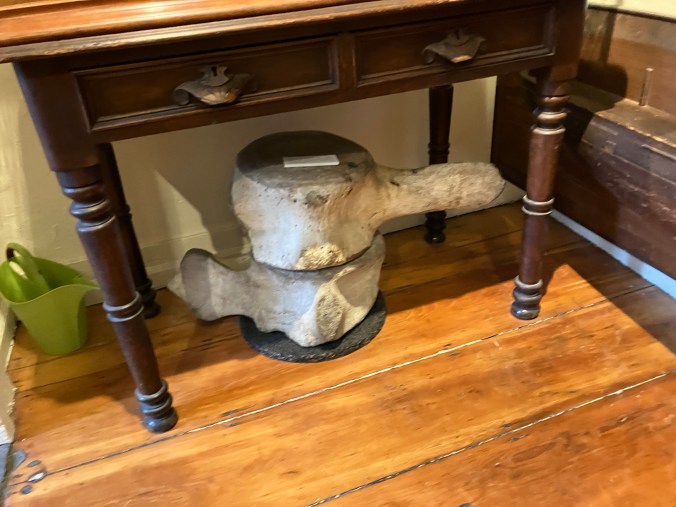 Under a table with a ship model on it, I stumbled on a pair of whale vertebrae, the gift, according to the Athenaeum's records, "of Captain Ray of Nantucket" in 1824. Photo by David Cecelski