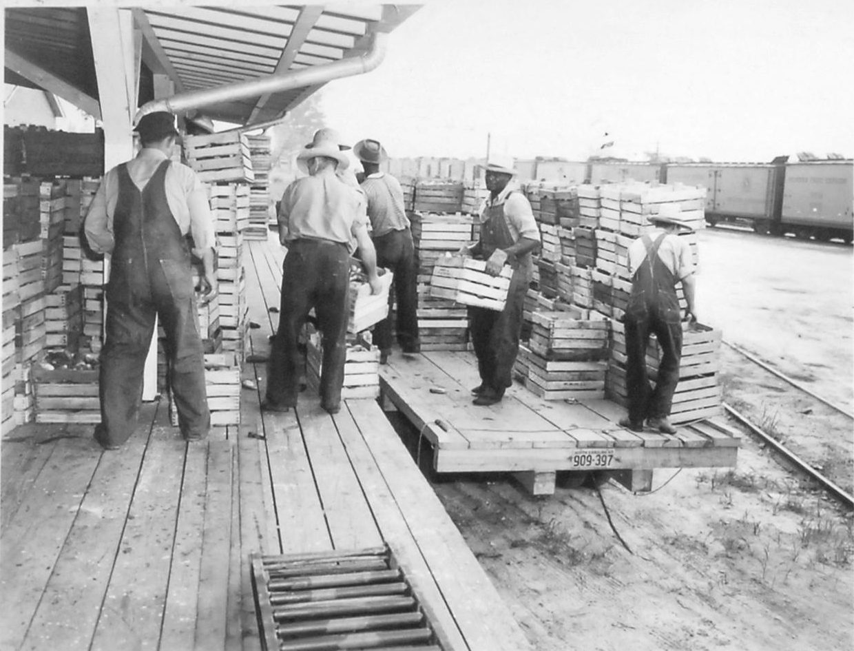 Courtesy, State Archives of North Carolina