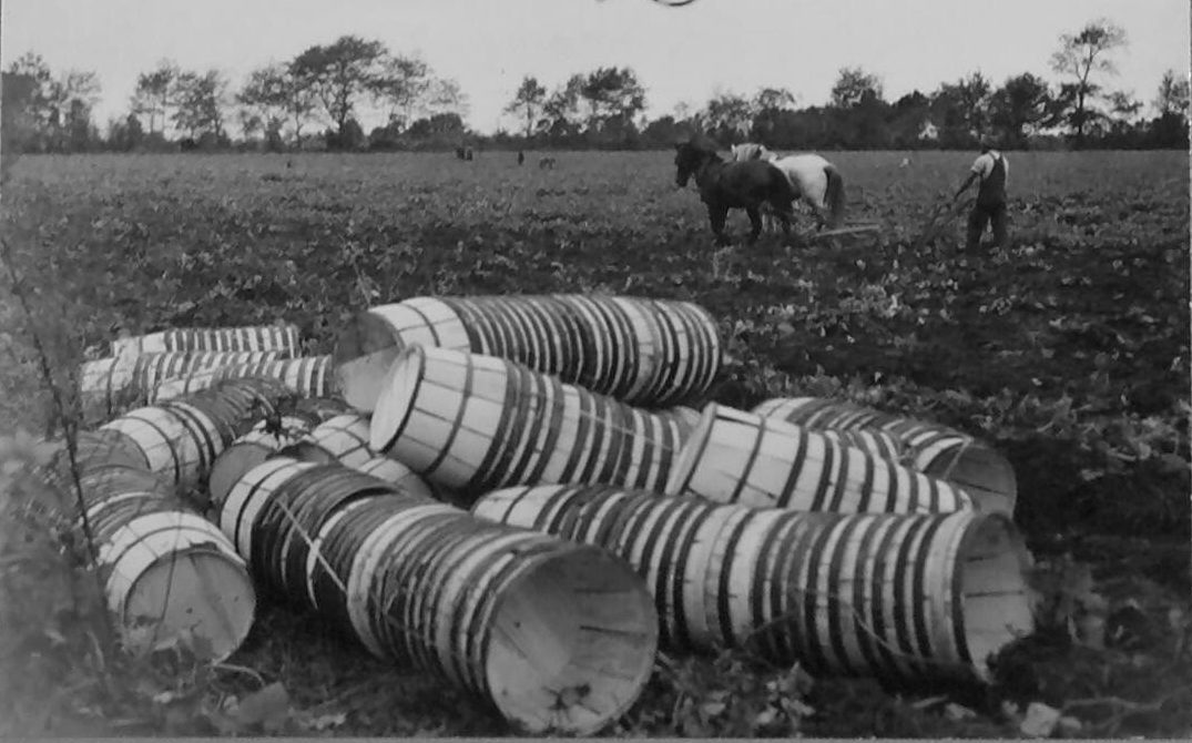 Courtesy, State Archives of North Carolina