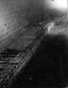 A view inside the Scott family's barbecue pit, 1944. Courtesy, State Archives of North Carolina