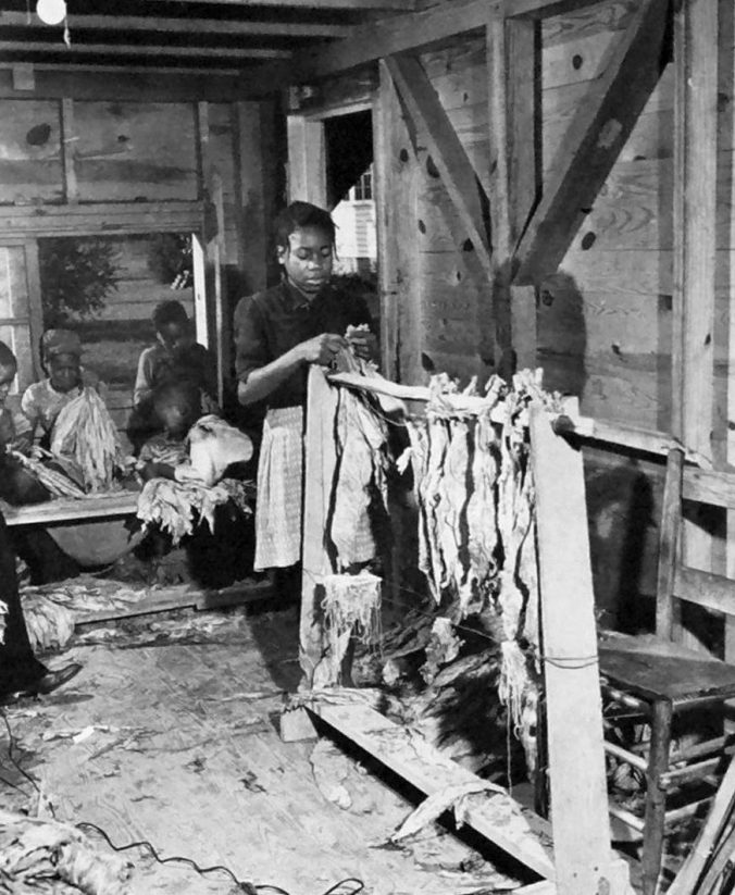 Braswell plantation tenant farm, August 1944. Courtesy, State Archives of North Carolina