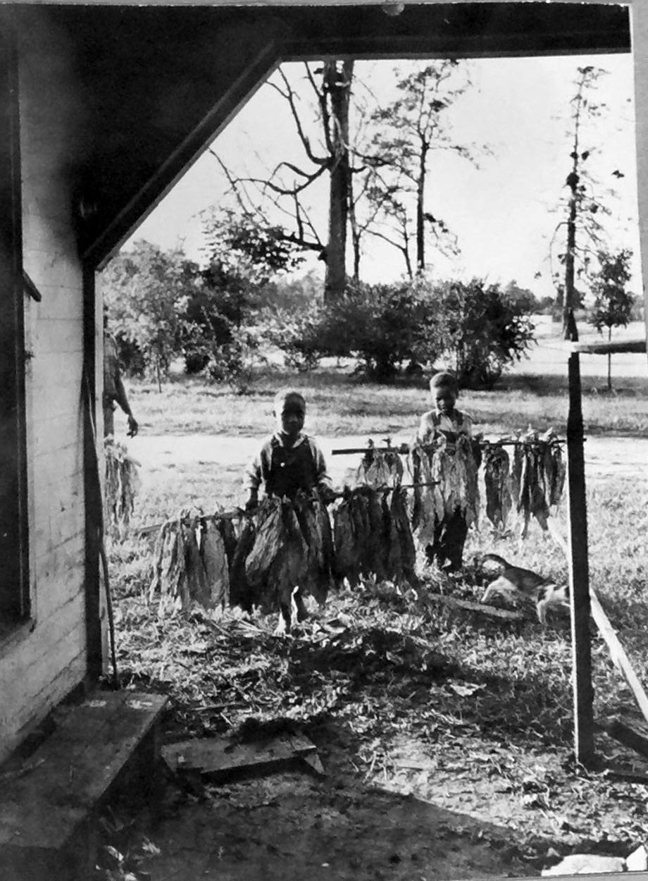 Braswell plantation tenant farm, Battleboro, N.C., August 1944. Courtesy, State Archives of North Carolina