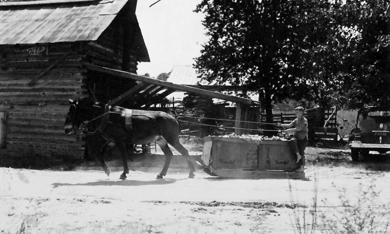 Hauling tobacco. Battleboro, N.C., August 1944. Courtesy, State Archives of North Carolina