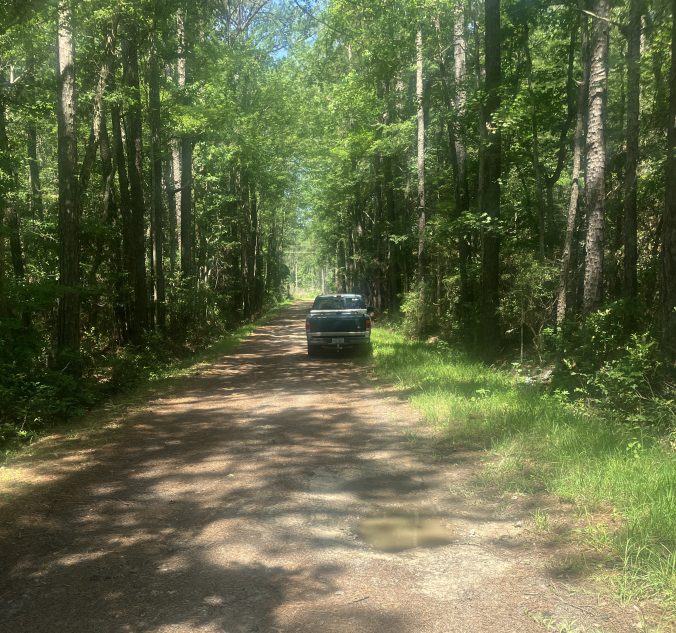 On the road to Oyster Creek. Photo by David Cecelski