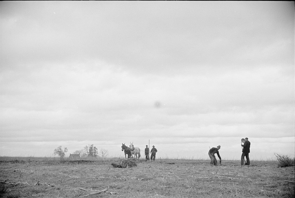 This untitled photograph of a farming scene in North Carolina was taken by Farm Security Administration photographer Carl Mydans in March 1936. Courtesy, <a href="https://www.loc.gov/resource/fsa.8a01342/">Library of Congress</a>. 